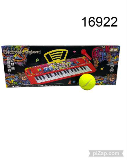 Imagen de ORGANO CON MICROFONO A PILAS GRAFITY KEYBOARD CON MICROFONO 11.25